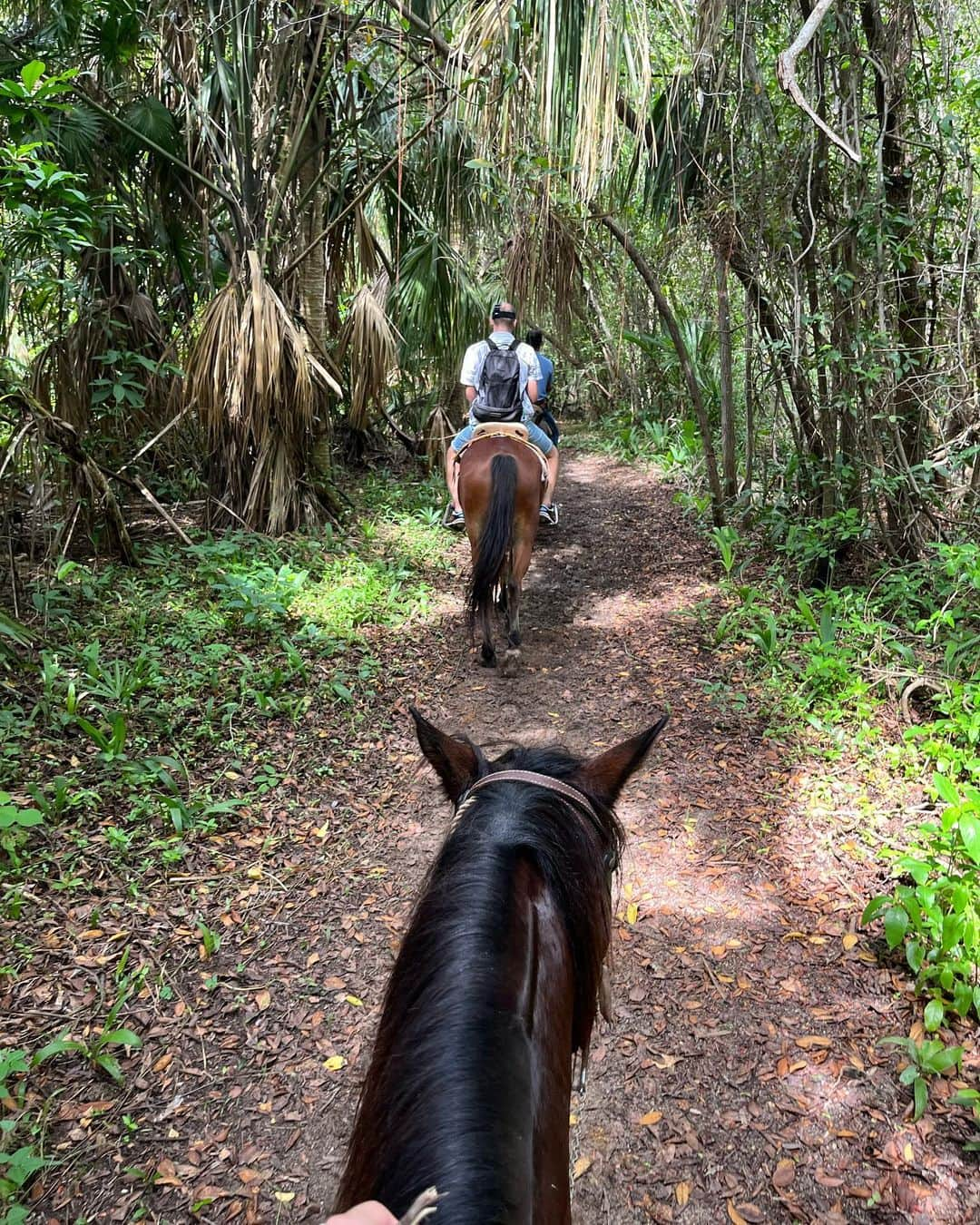 小野真琳さんのインスタグラム写真 - (小野真琳Instagram)「Just another day in Cozumel 🐴☀️」10月15日 6時41分 - marin226