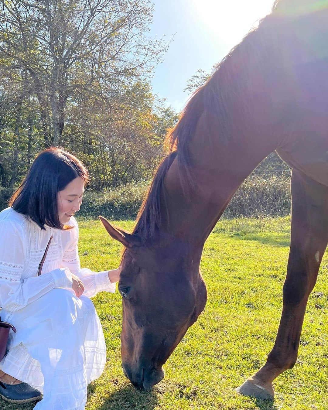 樋口智恵子のインスタグラム：「Natsume et Yuki🐴 . . . . ナツメもユキも、のびのびと暮らしています🐴幸せそうな2人を見ていると、心から癒される。 いつかナツメに乗って牧場をお散歩できたらいいな！たくさん辛いこともあるけれど、そんなきらきらとした夢を持って、今をがんばろう。」