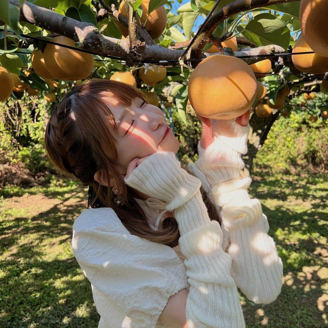 もえのあずきさんのインスタグラム写真 - (もえのあずきInstagram)「焼肉と梨狩りー！！🥰💓✨  10月20日に福島県相馬市にある『道の駅そうま』がリニューアルオープンするのを記念して💓  これから半年間、毎月もえあずが相馬市へあそびにいって魅力を伝えていくよ🥰  今回もえあずがいったのは 🍑道の駅そうま 🍖鳥久　田町本店 🍐梨農園根本  #道の駅そうま #もえあずin相馬市 #福島県相馬市 #福島グルメ#福島観光 #pr #鳥久田町本店 #相馬牛 #焼肉#A5ランク#黒毛和牛#コスパ最高   #梨農園根本 #梨狩り#フルーツ狩り#梨#梨好きな人と繋がりたい  #もえあず」10月15日 15時22分 - moeazukitty