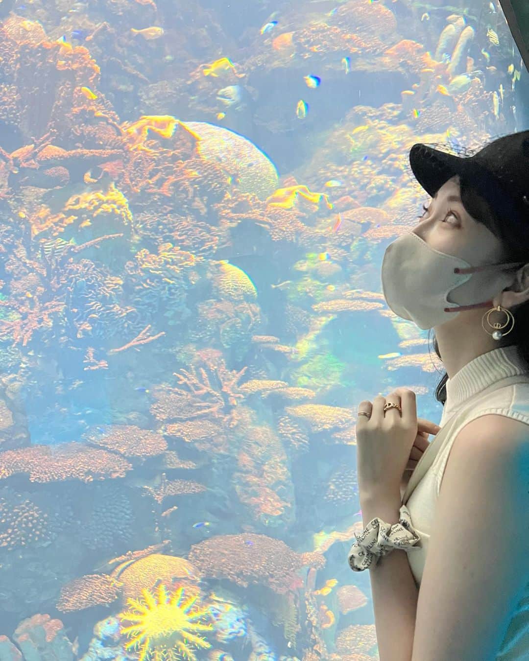 吉田朱里のインスタグラム：「ちょっと前に #海遊館 行った🐠 . 小さい頃行ったきりだったので すごく楽しめました✨ . 普段忙しない毎日を送ってて 時間をゆったりに感じることが 全然無いんだけど、ゆっくり自由気ままに泳ぐお魚さんたちみてると 自分の心もなんだかおだやかになった一日でした☺️☺️ . たまには休憩も必要ですね😌 お休みで、お家にいても お仕事してるか 考え事してるかであまり休まらないので、外に出ないと😂笑 . でね！小さい頃に行った時に買ってもらったアザラシのぬいぐるみ。 . 今は愛犬の茶夢のおもちゃになってて茶夢が1番大事にしてるおもちゃなんだけど、同じのが売ってた❤️笑 . 新しいの買ってあげようか迷ったんだけど、多分あのボロボロの感じが好きなんだろうなと勝手に決めつけて買うのはやめましたww . 私と妹の、お下がりってことがいいとこじゃん？笑 . ちなみに私と妹はそのアザラシちゃんをいつも家族ごっこのペット役で使ってたの。笑 . #海遊館」