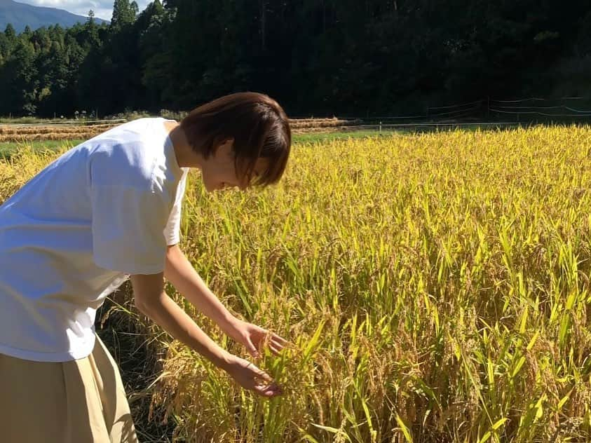 迫田さおりのインスタグラム