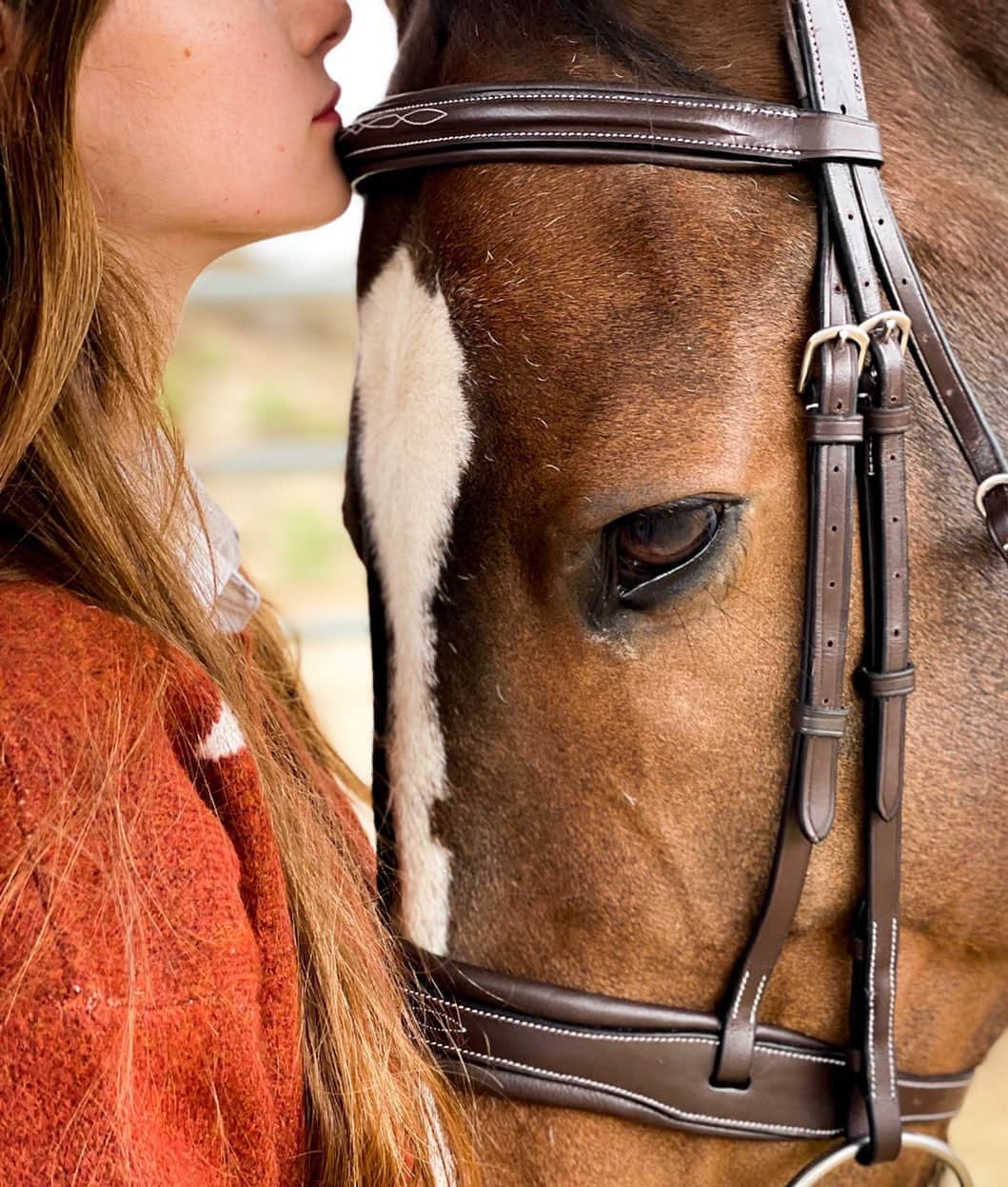 マッケンジー・フォイのインスタグラム：「Thank you @rivieraequisports for this stunning bridle!!! Don and I love it!!」