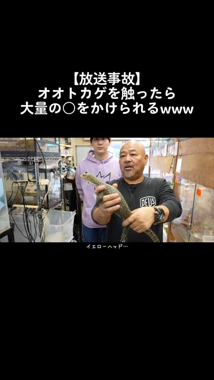 まっすーのインスタグラム
