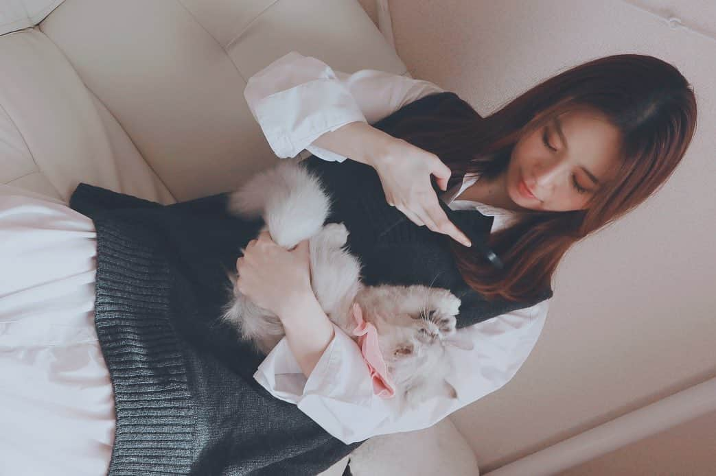 築山可奈さんのインスタグラム写真 - (築山可奈Instagram)「.  エモショット📸✨ お友達のにゃんこ🐱  癒し効果抜群すぎて❤️❤️  #猫 #ねこ好き #ペルシャ猫 #子猫 #癒し効果抜群 #かわいい #かわいすぎる #cat #kitten #アナウンサー #フリーアナウンサー」10月16日 0時18分 - kana.tsukiyama