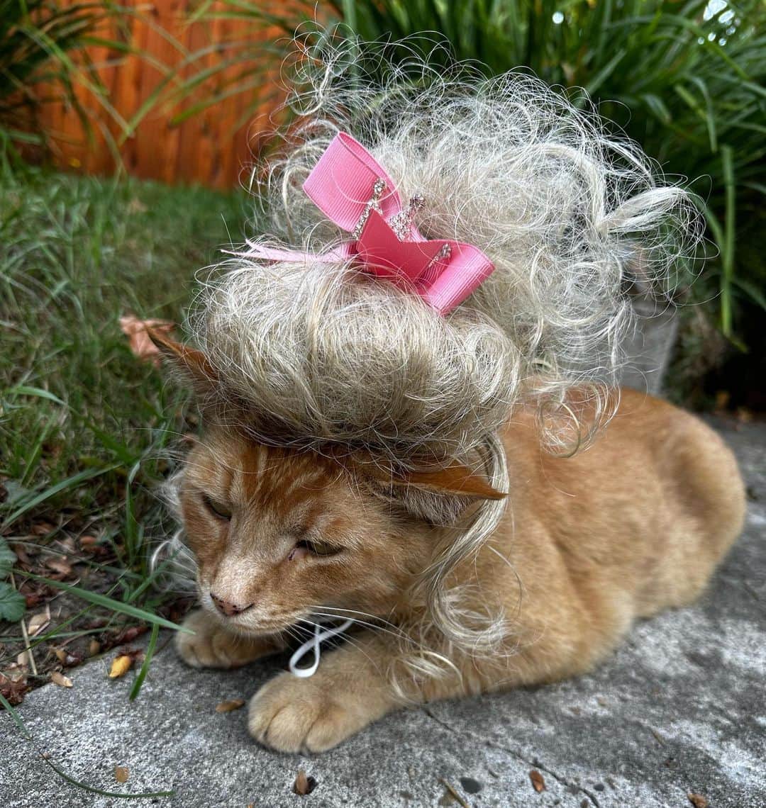 Snorri Sturlusonのインスタグラム：「Is that Marie Antoinette? Happy fall, everyone!」