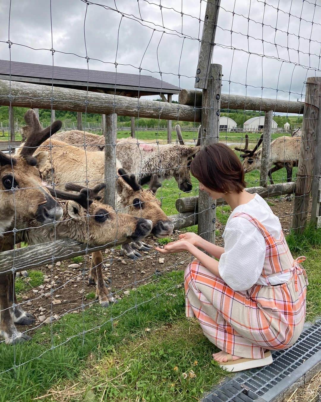 篠田麻里子さんのインスタグラム写真 - (篠田麻里子Instagram)「トナカイって本物見たことある？🤔💕 初めて見たトナカイは鹿のようで鹿じゃなかった🤣 撮影で行った北海道にトナカイが居ました🧑‍🎄 🎄今年のChristmasに会えると良いな♡絶対来てね🦌  #Christmas」10月16日 9時38分 - shinodamariko3