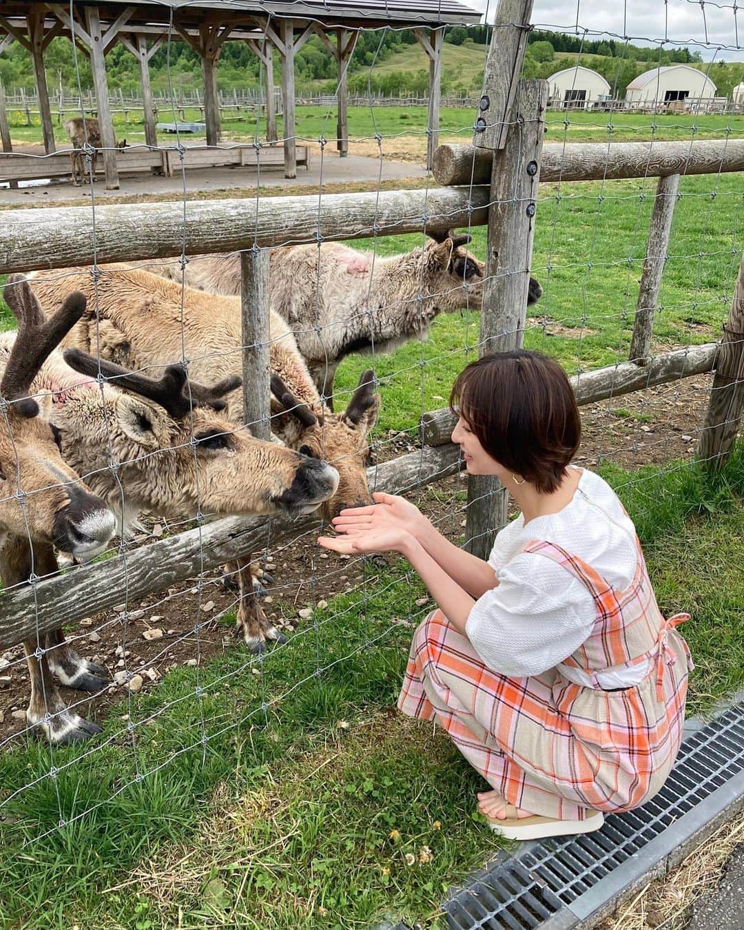 篠田麻里子のインスタグラム：「トナカイって本物見たことある？🤔💕 初めて見たトナカイは鹿のようで鹿じゃなかった🤣 撮影で行った北海道にトナカイが居ました🧑‍🎄 🎄今年のChristmasに会えると良いな♡絶対来てね🦌  #Christmas」