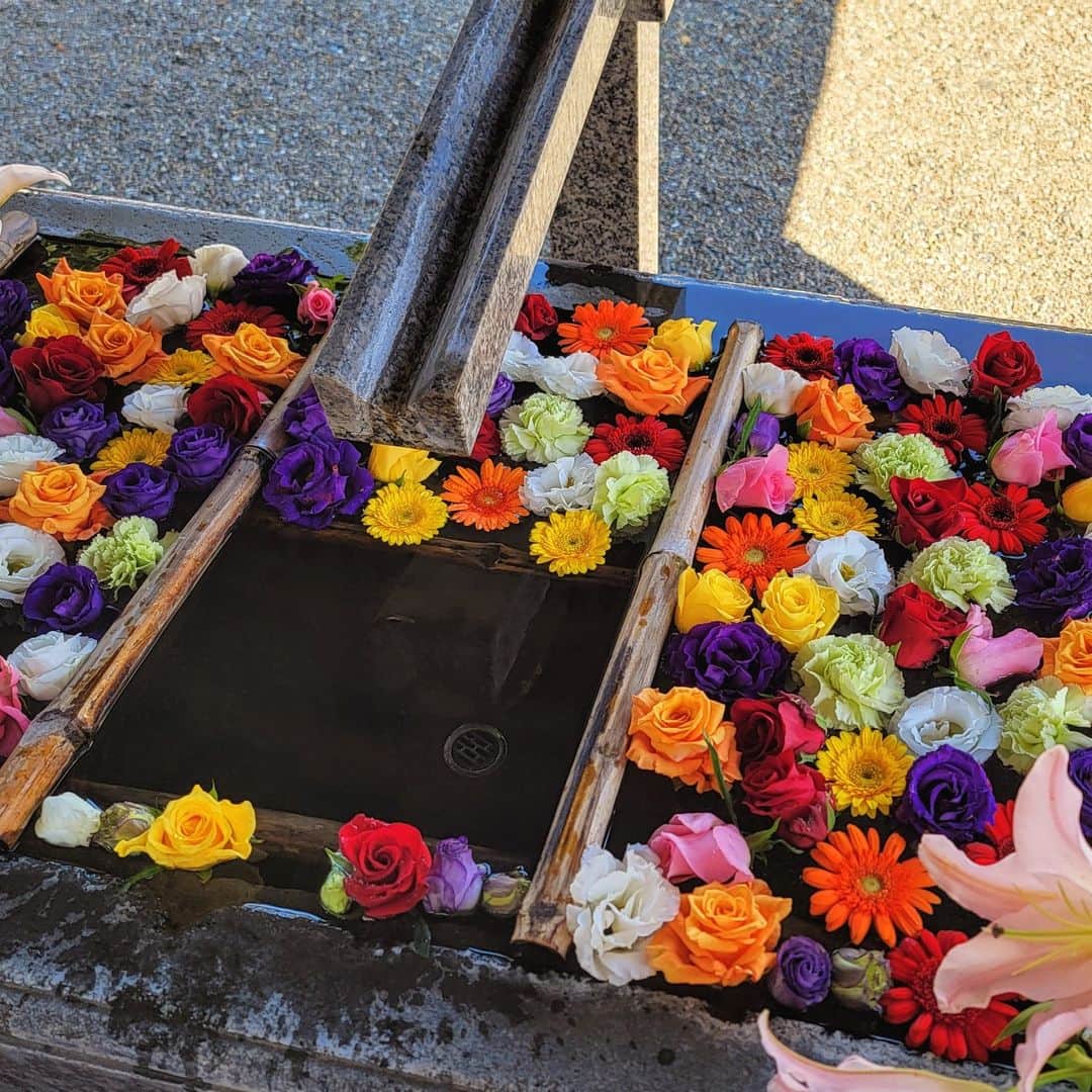 片山愁のインスタグラム：「#花手水」