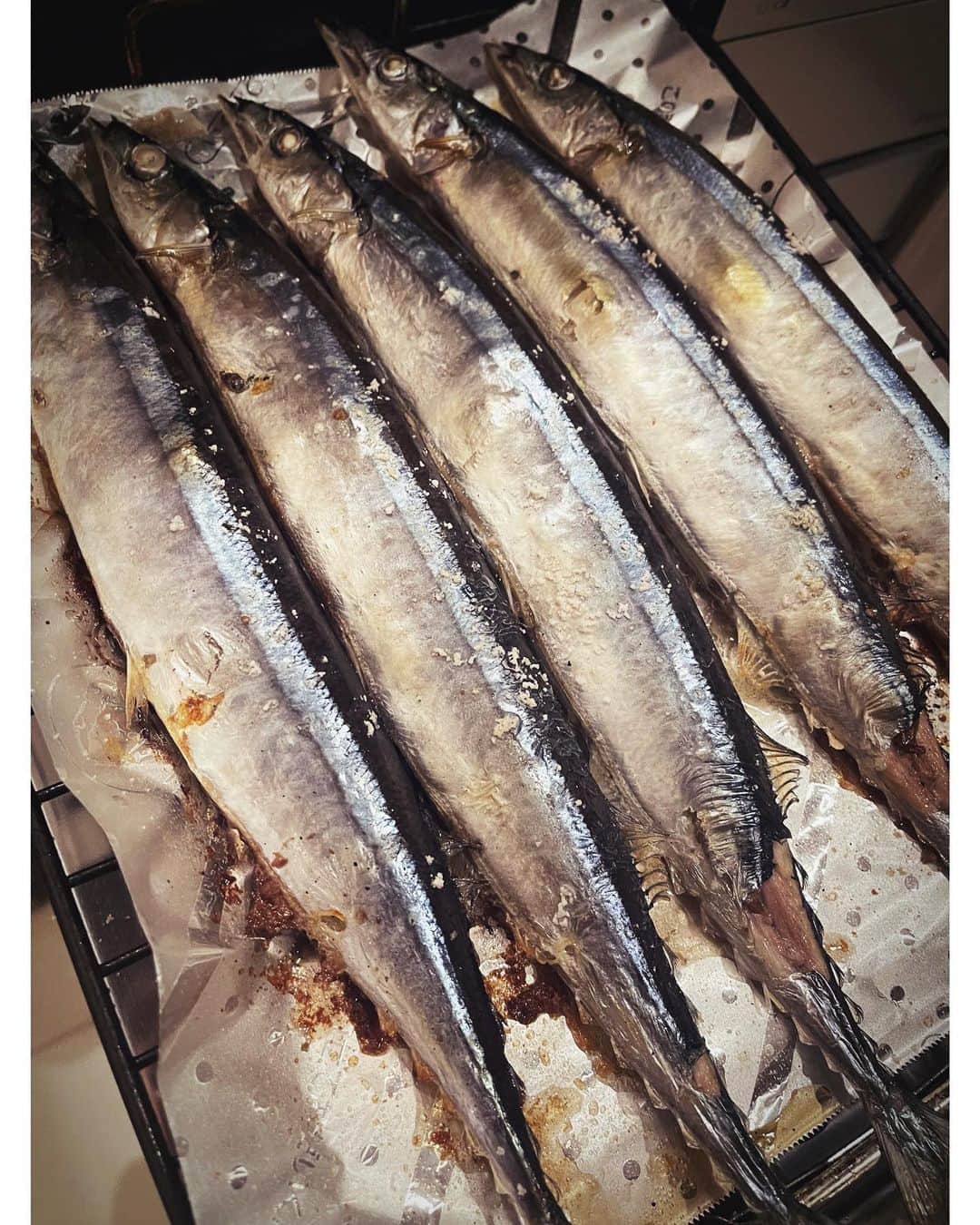 佐々木希さんのインスタグラム写真 - (佐々木希Instagram)「秋刀魚が届きました✨ 美味しい…。。贅沢…。。 また今年も秋刀魚を食べられた事が幸せです🙏 #秋の味覚 #山治」10月16日 11時42分 - nozomisasaki_official