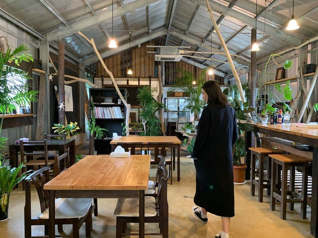 武井咲のインスタグラム：「🔵🌳🦉」