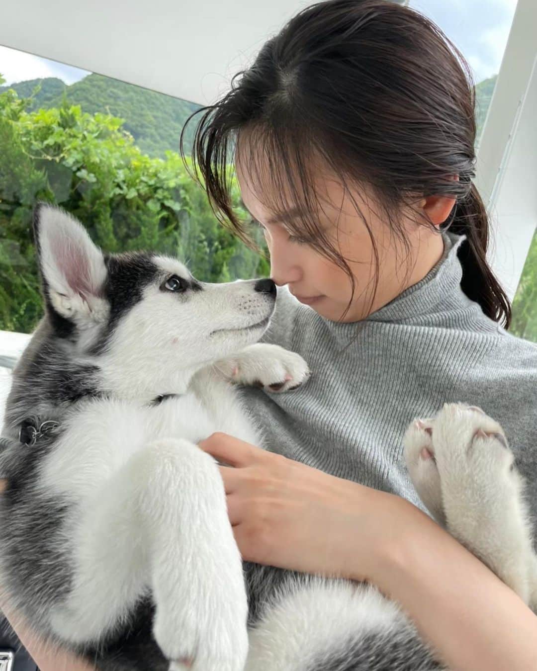大政絢のインスタグラム：「癒された撮影日🐶✨  元気いっぱいのアン子ちゃん、マチ子ちゃん！もう大きくなってるんだろうな〜  @precious.jp」