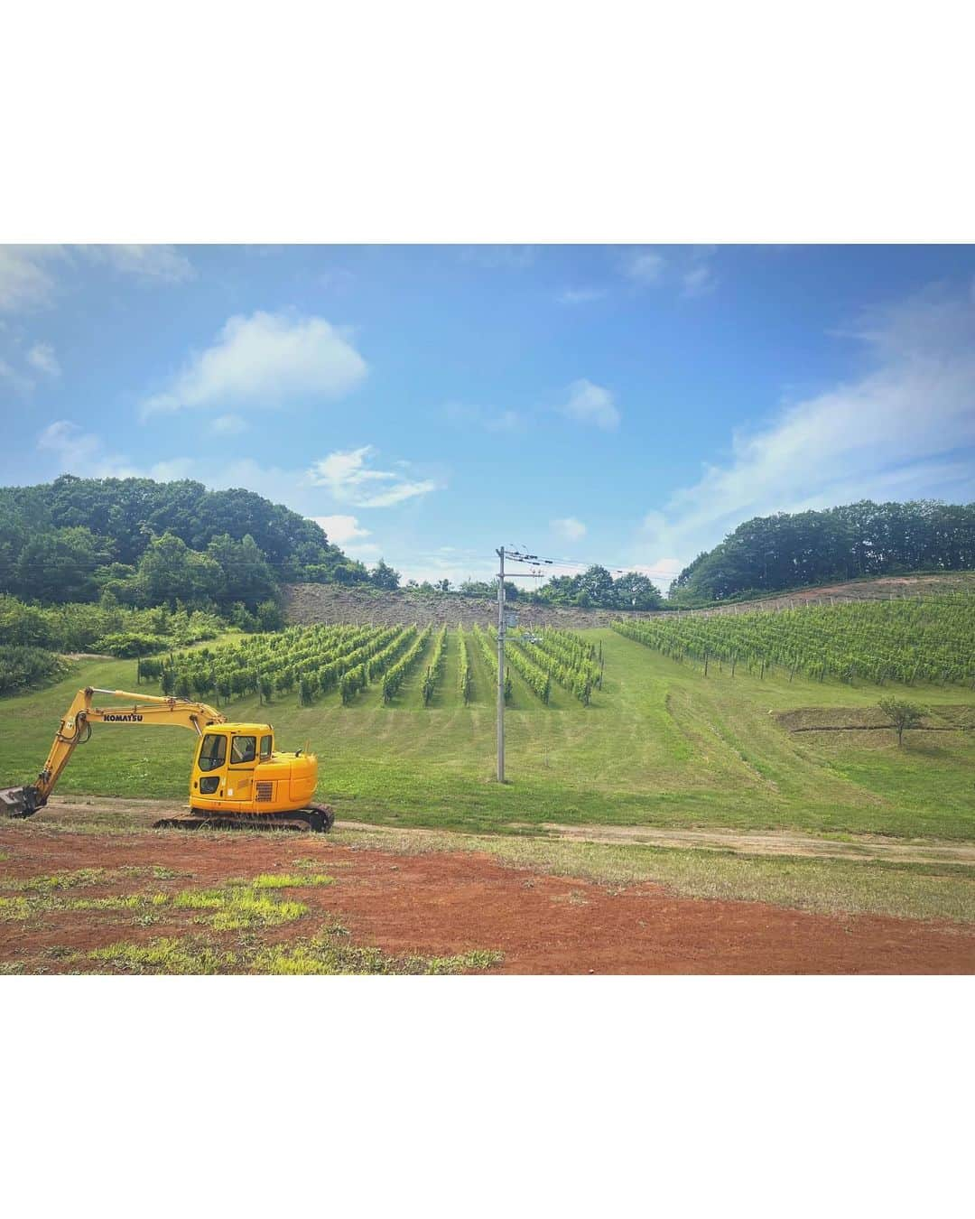 佐々木希さんのインスタグラム写真 - (佐々木希Instagram)「前になりますが、夏の思い出🍇 憧れのナチュラルワインのワイナリー巡り。北海道の余市町にて🌱 生産者の方々から色々なお話を聞かせていただいたりと貴重な経験。畑もそれぞれまた全然違って面白かったな✨ ありがとうございます😌  #ドメーヌタカヒコ #ドメーヌモン #ドメーヌアツシスズキ  #DomaineTakahiko #DomaineMont #DomaineAtsushiSuzuki  #北海道#余市町」10月16日 18時13分 - nozomisasaki_official