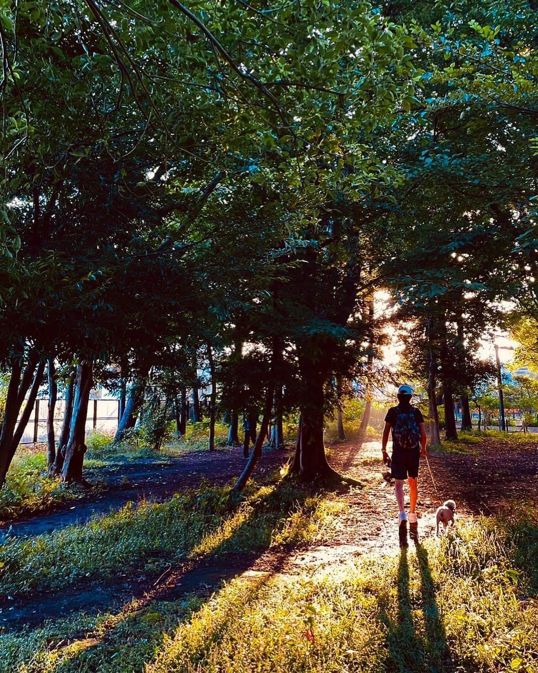 のインスタグラム：「夕陽&モコ散歩♡日常の癒し… #愛犬 #愛犬家 #love #nature #mybaby #family #actor #actorslife #shooting #sunset #家族 #日常の癒し #癒し #魅惑のヒップライン #自慢のお尻 #マイケル富岡 #俳優 #タレント #自然 #撮影 #beach #beachtour」