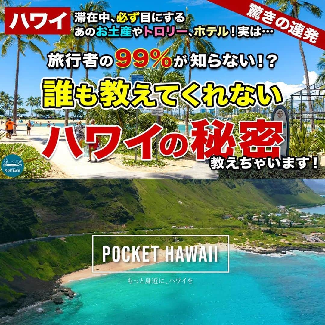 111-Hawaii Awardさんのインスタグラム写真 - (111-Hawaii AwardInstagram)「＼ 驚きの連発 ／ ハワイ滞在中、必ず目にする、あのお土産やトロリー、ホテル！ 実は・・・ . 旅行者の９９％が知らない!? 「誰も教えてくれないハワイの秘密」 教えちゃいます！ . . . 🌴以下リンクより、ハワイ系人気YouTube「ポケハ」をご覧くださいね😊🤙 https://youtu.be/iYTRHcnQQEw . . . ----- ［111-HAWAII PROJECTを運営するクラレンス・リー・デザインからのお知らせ］ 動画内で111-HAWAII PROJECTも紹介されています。 . @pockethawaii #pockethawaii #ハワイ系人気ユーチューブ #ユーチューバー #ポケットハワイ #驚き #ハワイ #誰も教えてくれない #ハワイの秘密 #ハワイ好きと繋がりたい #ハワイ好きな人と繋がりたい」10月16日 20時56分 - 111hawaiiaward