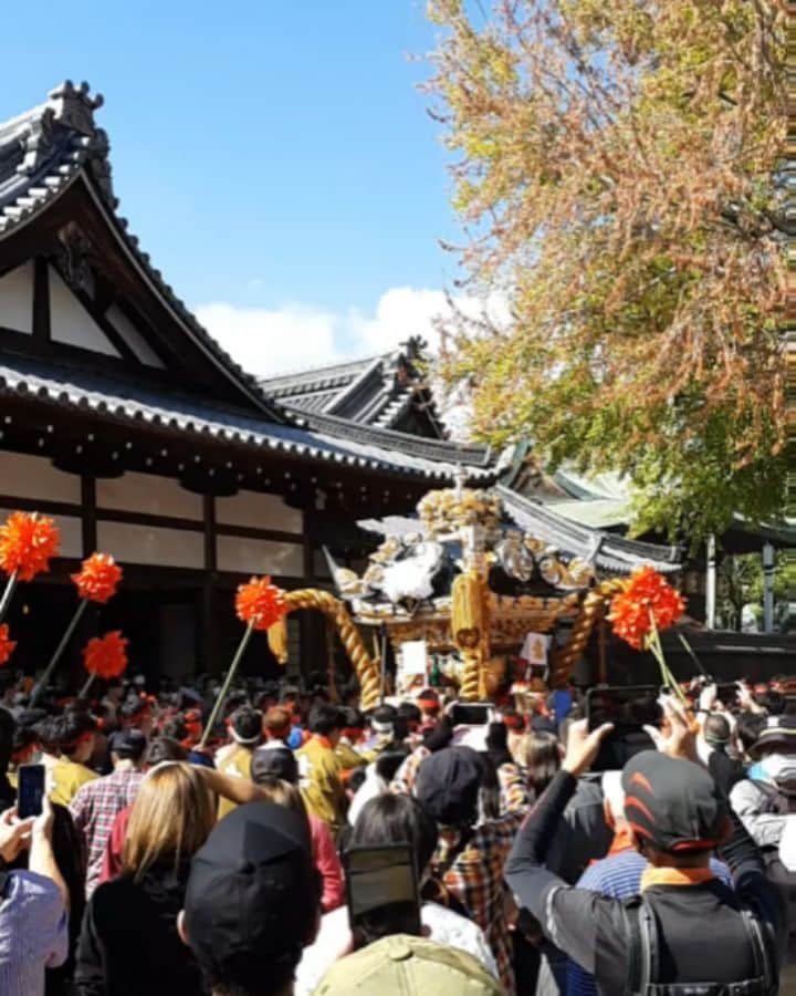 のインスタグラム：「黒坂お祭りへ行く🤎  “灘のけんか祭り” 地元姫路市 松原八幡神社の秋祭り 子供の時以来 久々に行けました！  お神輿を激しくぶつけ合う 勇壮なお祭り 壊れれば壊れるほど 神様が喜ぶとされている。 ドンドンと心臓に響く太鼓の音。  ３年ぶりの開催ともあって 熱気に溢れていました～ 私も元気をもらったよ🤎🤍  松原八幡神社 実は親戚なのです！ おじさまおばさま お元気ですか？ との思いを込めて ベビーカステラを神社前でぱくりといかせて頂きました😋  #黒坂真美 #kurosakamami #灘のけんか祭り  #松原八幡神社 #兵庫県 #姫路 #秋祭り #神輿 #屋台  #himeji #japan #matsuri #🇯🇵」