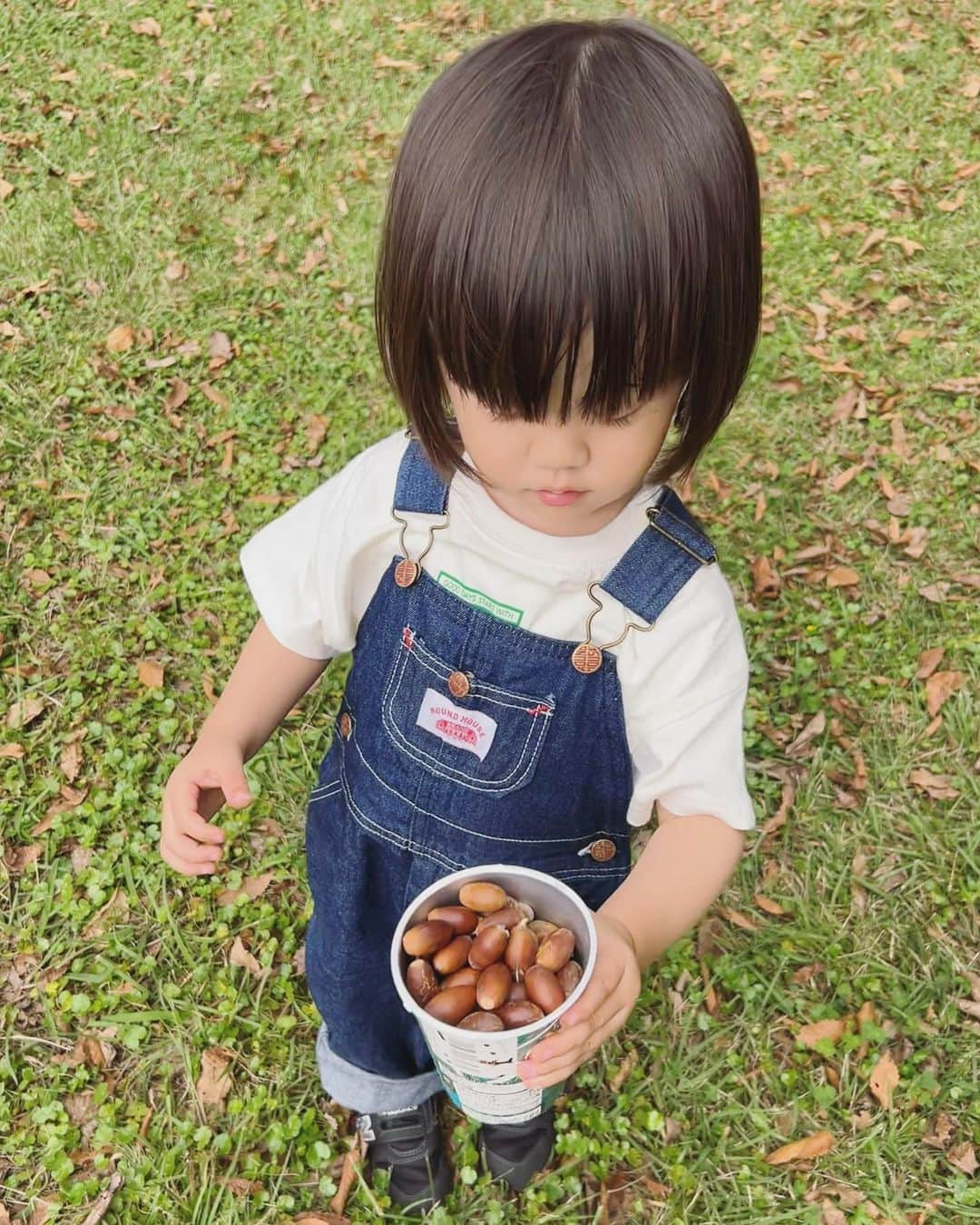 高見まなみのインスタグラム：「じゃがりこの容器にもポケットのなかにも、どんぐりをたっぷりつめ込んで🐿  #3歳2ヶ月   帰ってきて、ポケットの中身すっかり忘れてぶちまけた🐿️」