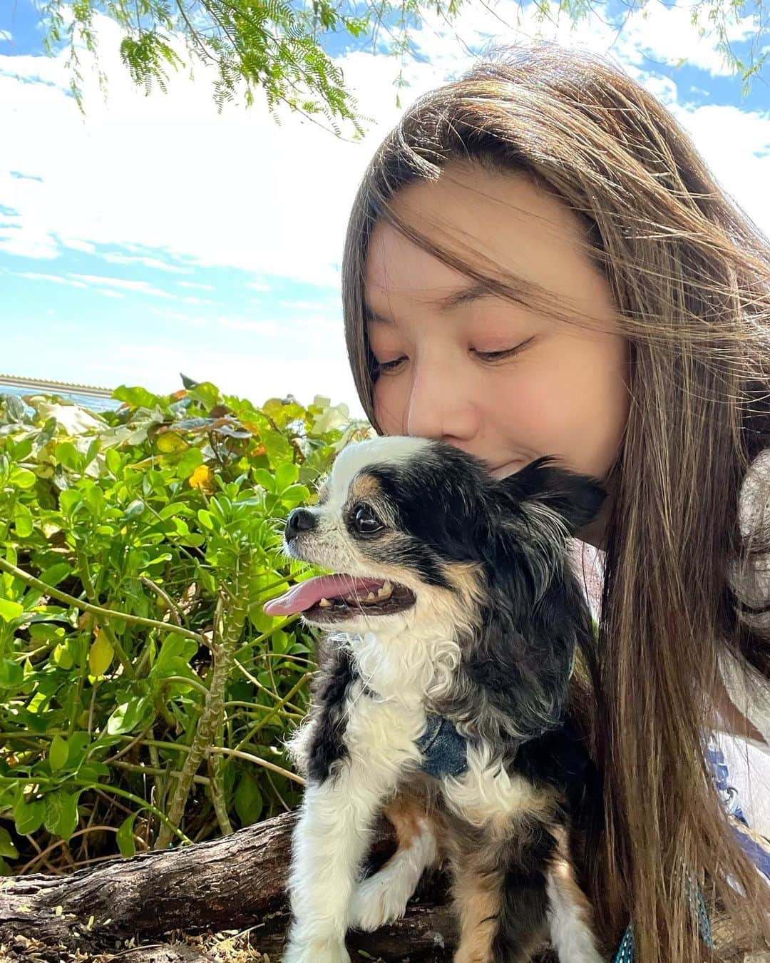 和央ようかさんのインスタグラム写真 - (和央ようかInstagram)「Me and Dondon🐶❤️  どんどんはもう12歳. でも、まだ12歳 ちょっと以前より出来ない事が出てきたりしても、いつだって明るくて、正直で前向きで諦めず、でもちょっといや、かなりビビり君で😂人が大好きだけど、なかなか仲良くなるのに彼なりのルールと時間がかかり😅 彼のパーソナリティ好きだな、というか尊敬してるよ、どんどん🐶 どんどんのように生きたい🙏  I’m so proud of U, Dondon🐶  #takakoworldstylin🌎 #takakohawaiistylin🏝 #lifestyle#hawaii#hawaiilife#hawaii#ハワイ#ハワイ生活#dondon🐶#どんどん🐶#chihuahua #チワワ#puppylove」10月17日 2時49分 - yokawao0215