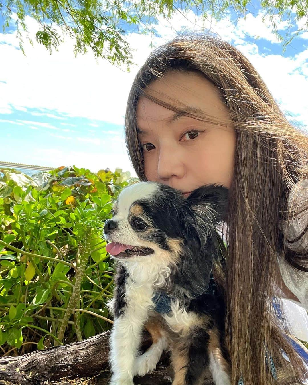 和央ようかさんのインスタグラム写真 - (和央ようかInstagram)「Me and Dondon🐶❤️  どんどんはもう12歳. でも、まだ12歳 ちょっと以前より出来ない事が出てきたりしても、いつだって明るくて、正直で前向きで諦めず、でもちょっといや、かなりビビり君で😂人が大好きだけど、なかなか仲良くなるのに彼なりのルールと時間がかかり😅 彼のパーソナリティ好きだな、というか尊敬してるよ、どんどん🐶 どんどんのように生きたい🙏  I’m so proud of U, Dondon🐶  #takakoworldstylin🌎 #takakohawaiistylin🏝 #lifestyle#hawaii#hawaiilife#hawaii#ハワイ#ハワイ生活#dondon🐶#どんどん🐶#chihuahua #チワワ#puppylove」10月17日 2時49分 - yokawao0215