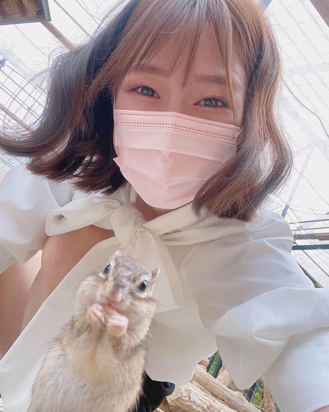 橘香恋のインスタグラム：「おはようございます🥰 ⁡ 前回の投稿に いいねとコメントありがとうございます✨  今週も一緒に頑張ろうね〜っ✊🏻🤍 ⁡ ⁡リスと触れ合えるなんて思いもしなかった😭 ⁡タイで見た野生のリス以来のリスだった☺️ ⁡ ⁡次はモルモットか鳥と触れ合いたいな〜😏もふ  #橘香恋 #リス #リスの森 #飛騨高山」