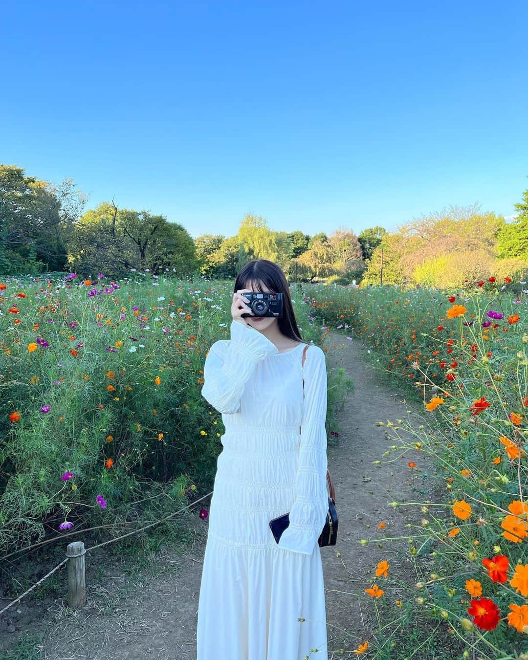 のインスタグラム：「.  行きたかった場所に行けるチャンスを逃し 26年でトップ3に入るくらい大ショックなので 運気の上がりそうな写真、みんな送って🦭」