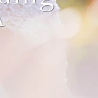 RIVIERA WEDDING　リビエラ ウェディング　公式さんのインスタグラム写真 - (RIVIERA WEDDING　リビエラ ウェディング　公式Instagram)10月17日 19時21分 - riviera.tokyo.weddings