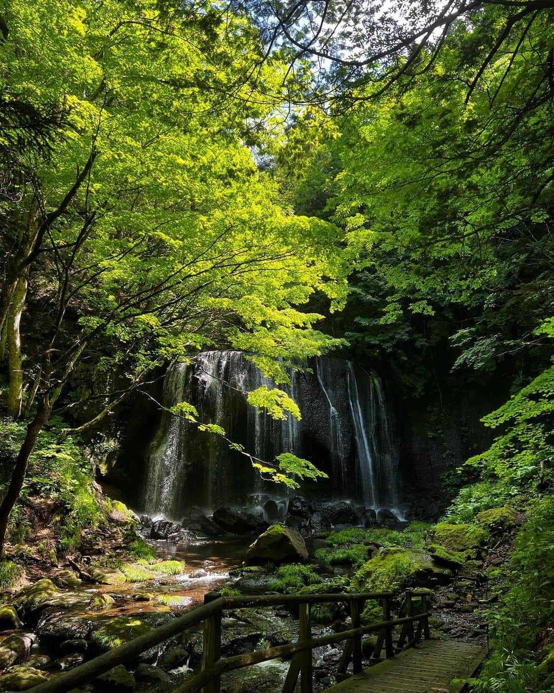 北園涼のインスタグラム