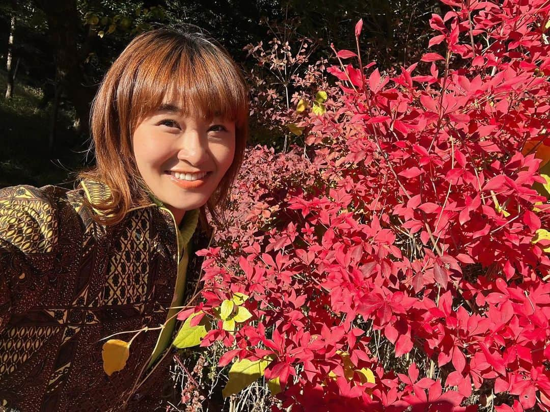 村上佳菜子さんのインスタグラム写真 - (村上佳菜子Instagram)「もう紅葉の季節だね🍁❤️ . . . #ジブリパーク　#自然 #紅葉　#愛知県　#もみじ」11月15日 15時37分 - kanako_m_official