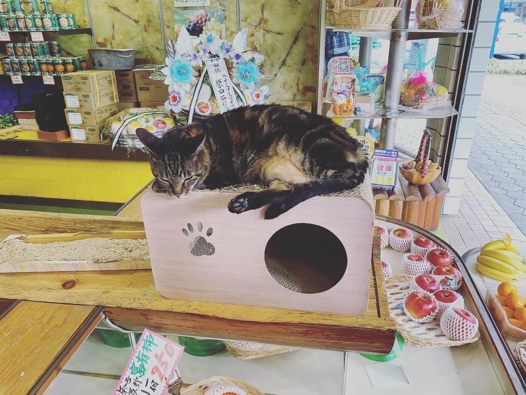 そらるさんのインスタグラム写真 - (そらるInstagram)「三重に行ってきたよの写真その1」11月15日 20時25分 - soraru_official