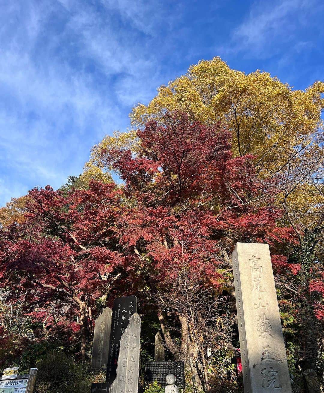 土屋巴瑞季さんのインスタグラム写真 - (土屋巴瑞季Instagram)「今年は紅葉を楽しめた🍁 (毎年行こうと思いつつ、気づいたら終わってる😂) 高尾山、登りが暑すぎてタンクトップ。笑 厚着しすぎないよう、みなさん気をつけて😂」11月15日 20時49分 - hazukitsuchiya
