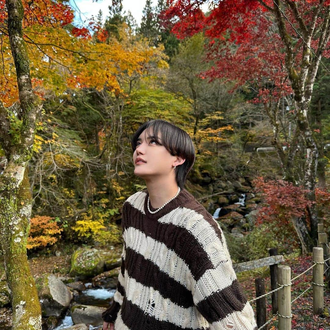 やっぴのインスタグラム：「日々の疲れを大自然でリフレッシュしてきた🫥🍂」