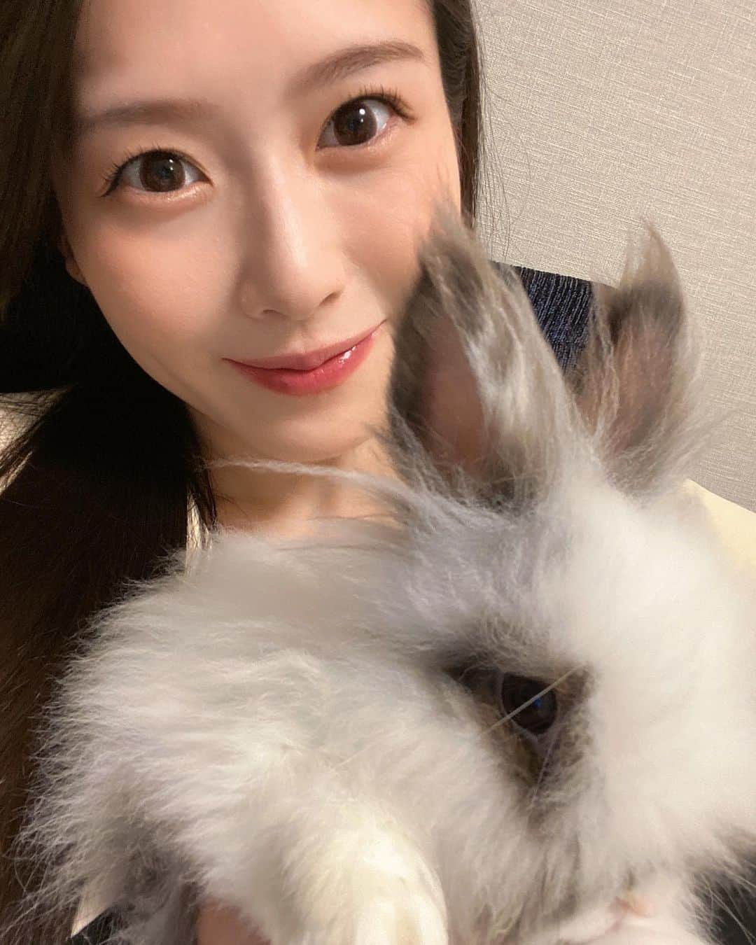 玉木碧のインスタグラム：「今日はモフの３歳のお誕生日🐰🥹  もう３歳なんて早すぎる😭  元気で長生きしてね🥺✨✨✨  #モフ #うさぎ #ライオンラビット #もふもふ #rabbit #bunny #うさぎのいる暮らし  #うさぎと暮らす  #うさぎ好きさんと繋がりたい」