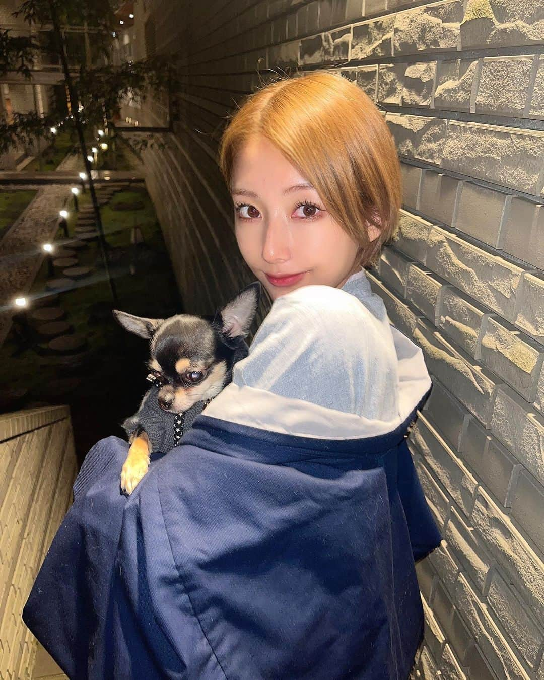 ナナさんのインスタグラム写真 - (ナナInstagram)「. アルフォンスさんと初の箱根♨️ . #箱根#犬連れ#犬連れ旅行 #ショート女子 #旅行#旅館#界#界箱根 #ペットと泊まれる宿  #チワワ#ウナギイヌ #カメラ嫌いの犬」11月11日 18時23分 - nkmrgram_