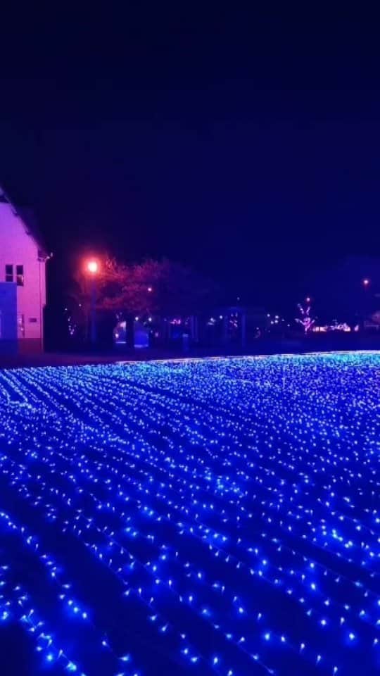 越前かに職人　甲羅組のグルメインスタ