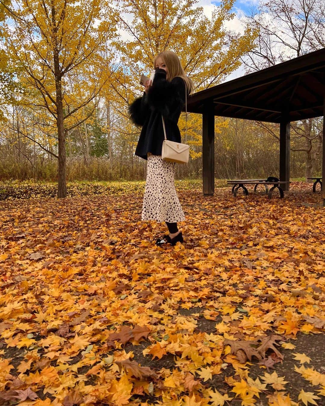 桃瀬まりあのインスタグラム：「ノーマルカメラ📸 が画質いいから、景色と撮る時かお諦める 札幌の紅葉おわった🍁🍂 温泉いきたいなぁ . #北海道 #札幌 #すすきの #ニュークラブ #ニュークラ  #桃瀬まりあ #クラブプレミア #キャバクラ #ホスト #東京 #六本木 #新宿 #歌舞伎町 #大阪 #北新地 #ミナミ #美尻  #ギャル #おっぱい #シャンパン #japan #Hokkaido #美容  #誕生日 #パーティ #浴衣 #キャバ嬢 #美人 #北海道旅行 #旅行」