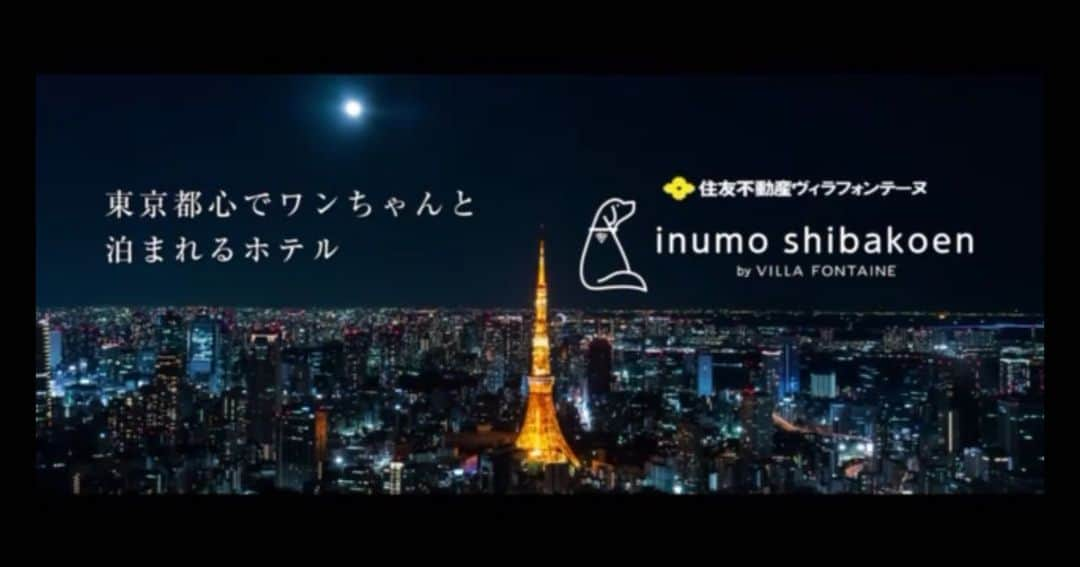 菅井玲さんのインスタグラム写真 - (菅井玲Instagram)「ワンちゃんと一緒に宿泊を楽しむホテル 「#inumo芝公園 by Villa Fontaine」 WEB CMに出演しました。  地方では見かけるコンセプトですが、東京都内では初めてのホテルだそうです。  相方、いや相犬のナミちゃんが賢すぎて🐕きゅん。  公式HP☟ https://www.hvf.jp/inumo-shibakoen/」11月11日 19時59分 - rei_sugai_