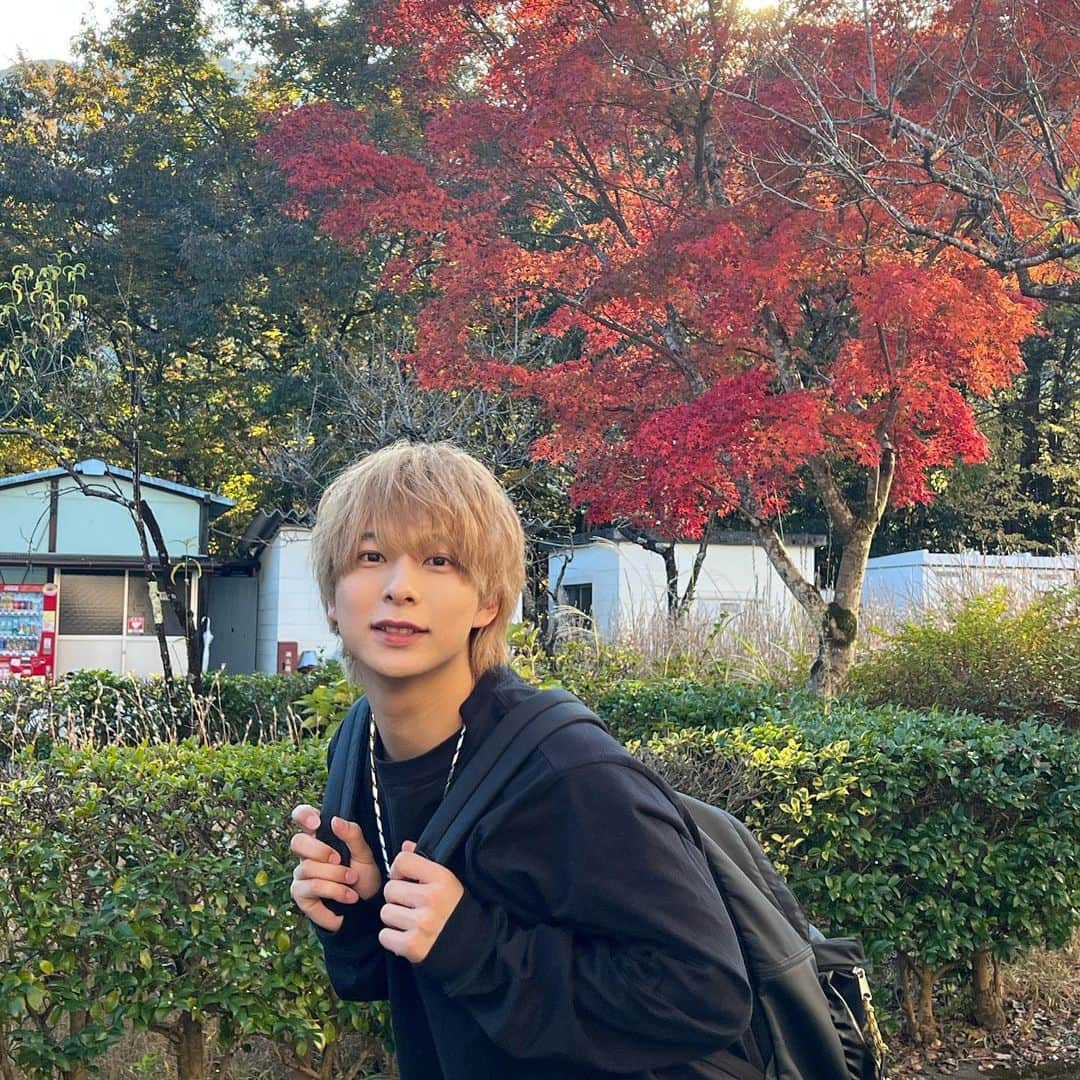 火ノ宮夕のインスタグラム：「紅葉きれかった！！ 明日、明後日名古屋よろしく👍」