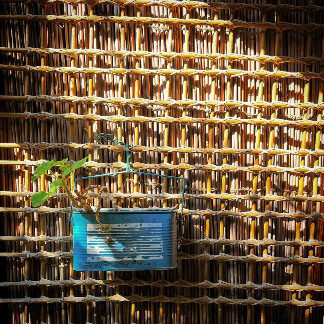 松村太郎のグルメインスタ