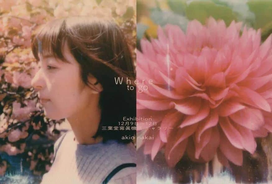 しじみのインスタグラム：「モデルを務めました中飯明央さんの写真展が来月開催されます！ 中飯さんの素敵なフィルム写真とポラロイドの世界を是非見に来てほしいです💐 しじみも顔出す予定です。 何卒宜しくです😊  『Where to go』  12月9日(金)〜12日(月) 11時〜19時  三葉堂寫眞機店　ギャラリー (荒川区東日暮里５丁目３２−６)  https://www.nakaiakio.com/post/where-to-go」