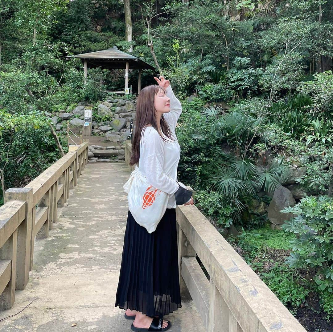 小笠原星さんのインスタグラム写真 - (小笠原星Instagram)「季節外れの投稿☀️🌿 4枚目は木からパワー感じてます」11月11日 22時22分 - akarinbaby