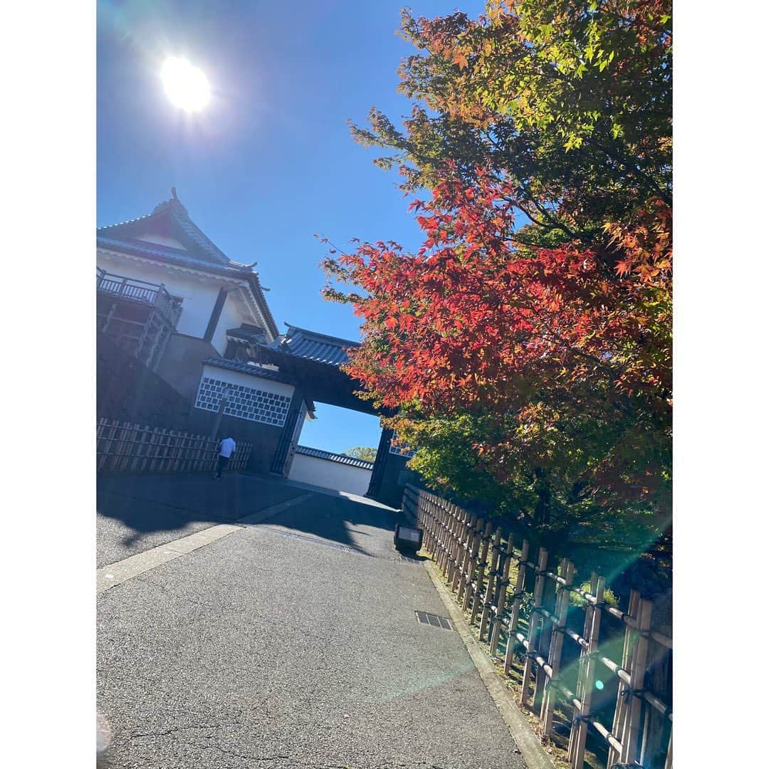 皆川夏穂さんのインスタグラム写真 - (皆川夏穂Instagram)「⁡ お休みで金沢に🍁⛩️ ⁡ ⁡ 自然がいっぱいで空気がすごく綺麗でした✨ ⁡ #金沢 #兼六園 ⁡#ひがし茶屋街  #時差投稿」11月11日 22時30分 - kaho_minagawa0820