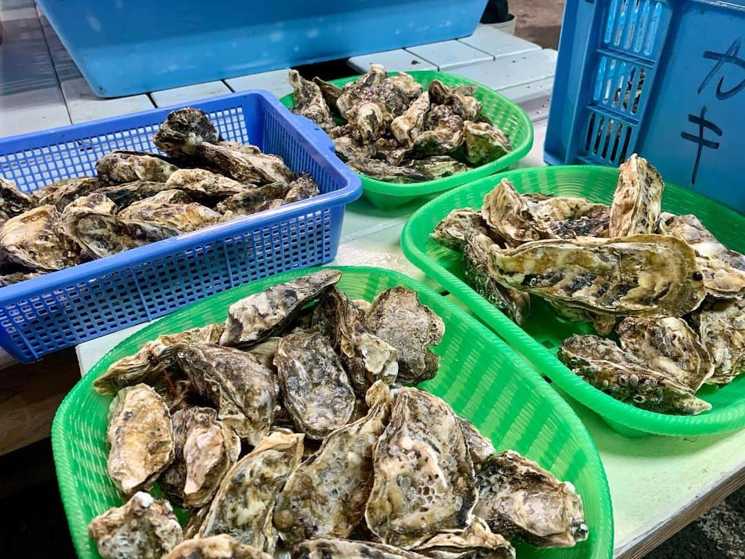 のインスタグラム：「The oyster season is coming 🦪  #dinner #oysters #oyster #japanesefood #japan #fukuoka #牡蠣 #福岡 #福岡グルメ」