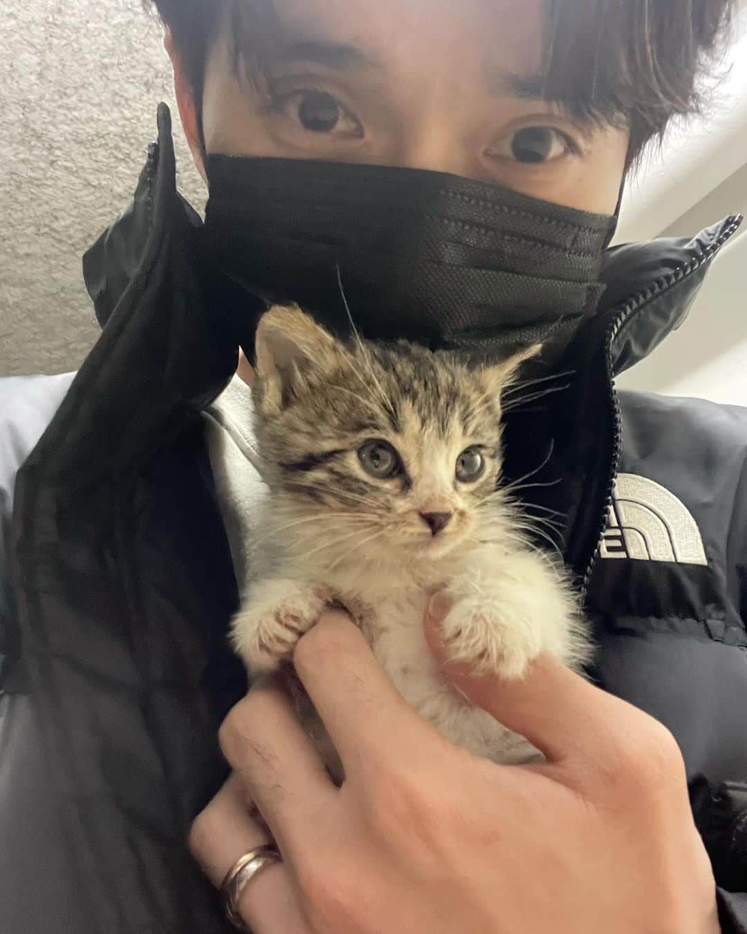 リュ・ドクファンのインスタグラム：「잘가🐈 (무사히 입양 됐어요) Goodbye🐈 (cat was adopted safely)」