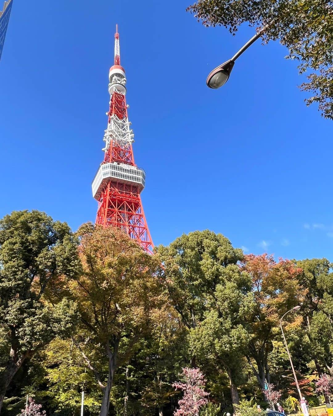 神尾葉子さんのインスタグラム写真 - (神尾葉子Instagram)「昨日の東京タワー🗼 青空がきれいでした🌈秋ですねえ‥」11月12日 5時05分 - yoko.kamio