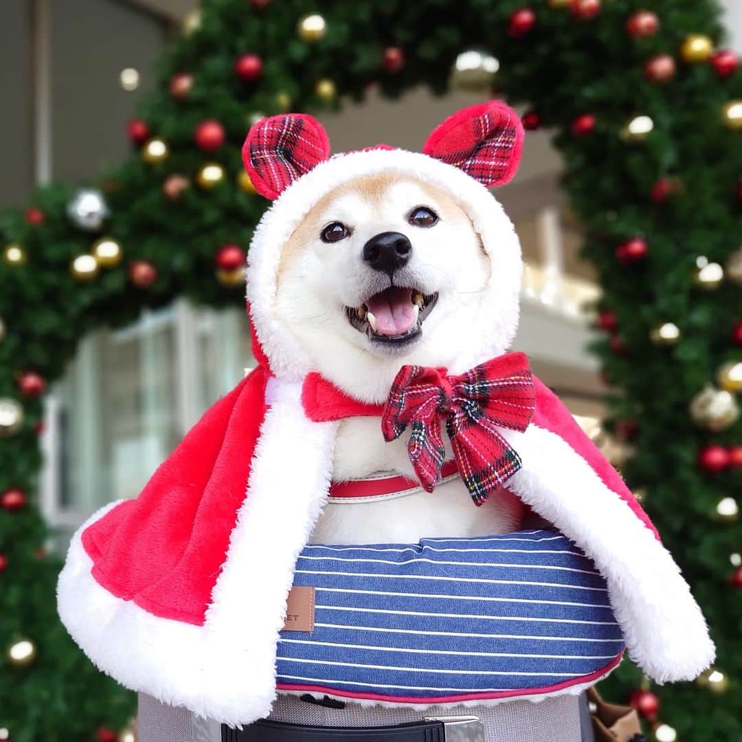 ちゃみのインスタグラム
