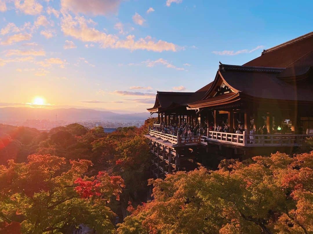 白石陽菜（桜井えりな）のインスタグラム：「大好きないとこの結婚式があったので、京都に行きました🤍 . 紅葉が色付き始めてた🍁 久しぶりに行ったけど、綺麗だったなー✨」