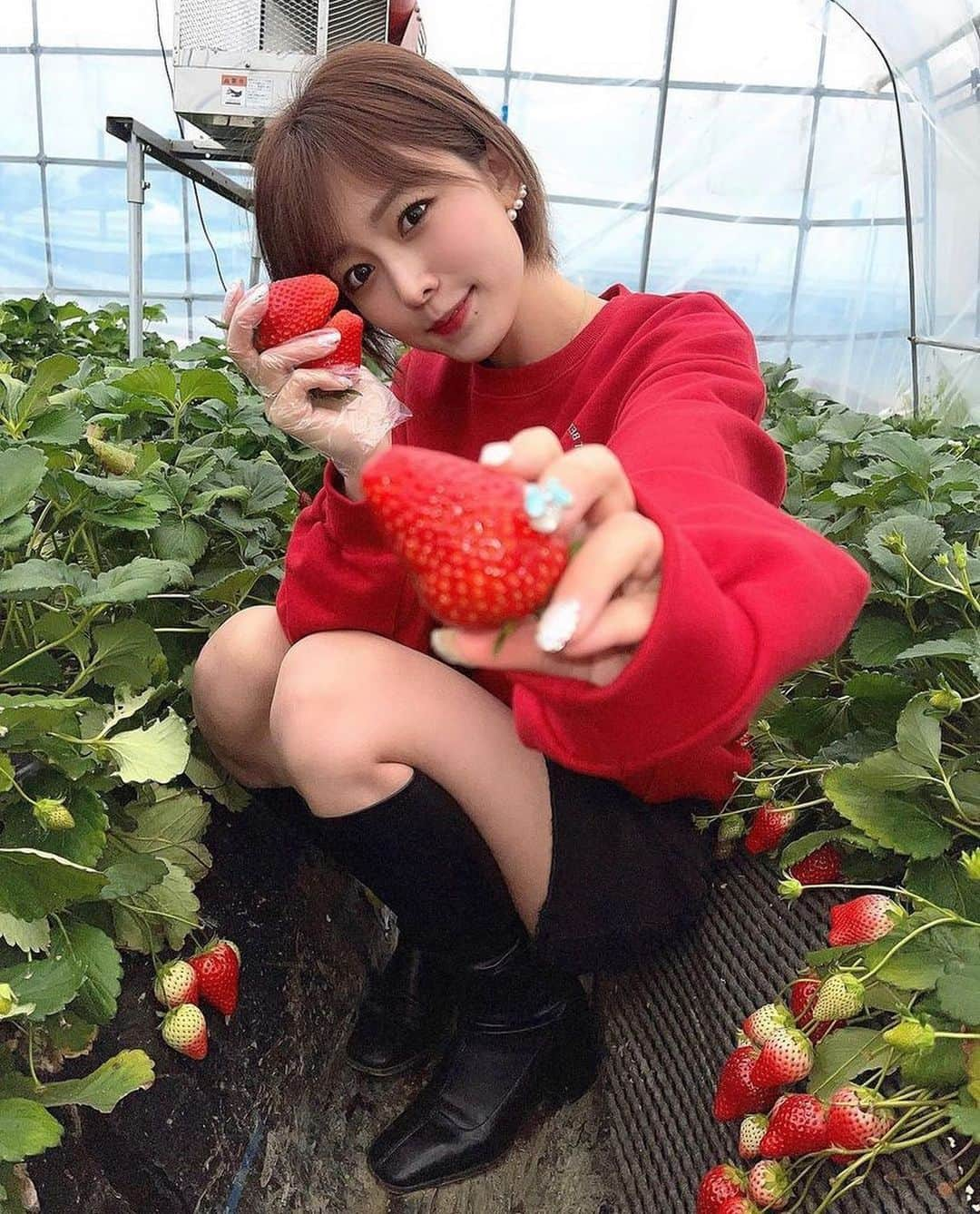 美女美容事情さんのインスタグラム写真 - (美女美容事情Instagram)「《いちごと美女❣️🍓》 *⁠ 今回ご紹介させて頂きますのは!!👀❤︎⁠⠀ シンディさん< @cindystory__ >の素敵なお写真📸⁠⠀⁠⠀⁠⠀⁠ *⁠⠀⁠⠀⁠⠀⁠⠀ 赤コーデのかわいすぎる美女といちご❤️ 12〜3月はベストシーズンなので恋人と一緒にいちご狩りにいきたいですね☺️🍓 *⠀⁠⠀⁠⠀⁠⠀⁠⠀ シンディさん< @cindystory__ > ⁠⠀⁠⠀⁠⠀⁠⠀ 素敵な投稿ありがとうございました☺️📸✨ *⠀⁠⠀⁠⠀⁠⠀⁠⠀ シンディさんのアカウントには他にも素晴らしい投稿が沢山ありますので是非覗いてみてくださいね💁‍♀️💙⁠⠀⁠⠀⁠⠀⁠⠀ *⠀⁠⠀⁠⠀⁠⠀⁠⠀ △▼△▼△▼△▼△▼△▼△▼△▼△▼ ⁠⠀⁠⠀⁠⠀ ❤🧡💛「美女美容事情」💚💙💜⠀⠀⠀⠀⠀⠀⠀⠀⠀⠀⠀⠀⠀⠀⁠⠀⁠⠀⁠⠀⁠⠀⁠⠀ 👇掲載ご希望の方は👇⠀⠀⠀⠀⠀⠀⠀⠀⠀⠀⠀⠀⠀⠀⠀⁠⠀⁠⠀⁠⠀⁠⠀⁠⠀ @b_b_j.jタグ付けと🖤 #ビジョビ ⁠⠀ 🖤タグ付けお願いします✨⠀⠀⠀⠀⠀⠀⠀⠀⠀⠀⠀⠀⠀⠀⠀⁠⠀⁠⠀⁠⠀⁠⠀⁠⠀ △▼△▼△▼△▼△▼△▼△▼△▼△▼ ⁠⠀⁠ #美女 #ショートヘア #ニットコーデ #いちごの里 #いちご狩り #栃木県 #苺  #strawberry #いちご #赤 #春コーデ」11月12日 17時36分 - b_b_j.j