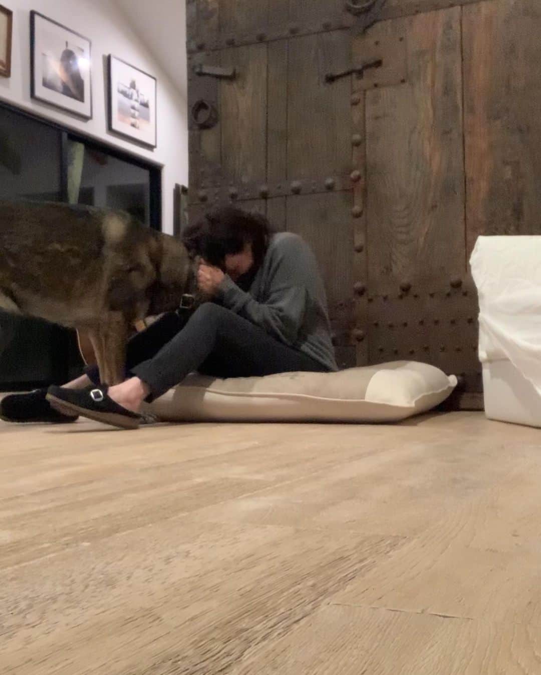 シャナン・ドハーティーさんのインスタグラム写真 - (シャナン・ドハーティーInstagram)「Love of my life. Ms Bowie. It’s amazing what dogs can get you thru. Heart wrenching shit becomes bearable. To think that not all dogs, all animals are treated with such love and respect  Can we please be kind?」11月12日 17時37分 - theshando