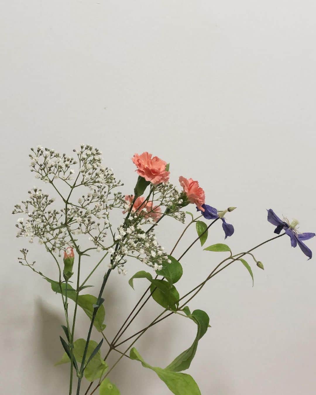大曲李佳さんのインスタグラム写真 - (大曲李佳Instagram)「11月  お花カレンダー再開です🌸  最近お花を買いました！ 前回まで外に咲いていたお花を撮っていたんですが、これから自分で買ったお花も載せていこうと思います！ それにしても室内でお花を撮るの難しい………  #11月 #お花 #カーネーション #かすみ草 #テッセン」11月12日 18時34分 - omagari_