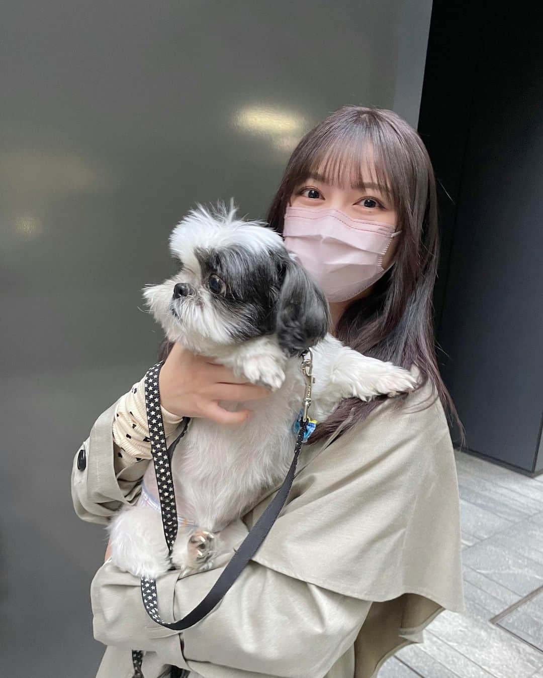 廣川奈々聖のインスタグラム：「上手に写真撮れなかった 🐶笑 ⁡名前は「もこ」🐾 ⁡ ⁡ #スタッフさんのいぬ #タレント犬じゃないのに撮影に来てくれた（笑）#いいこすぎた o̴̶̷̤ ̫ o̴̶̷̤」