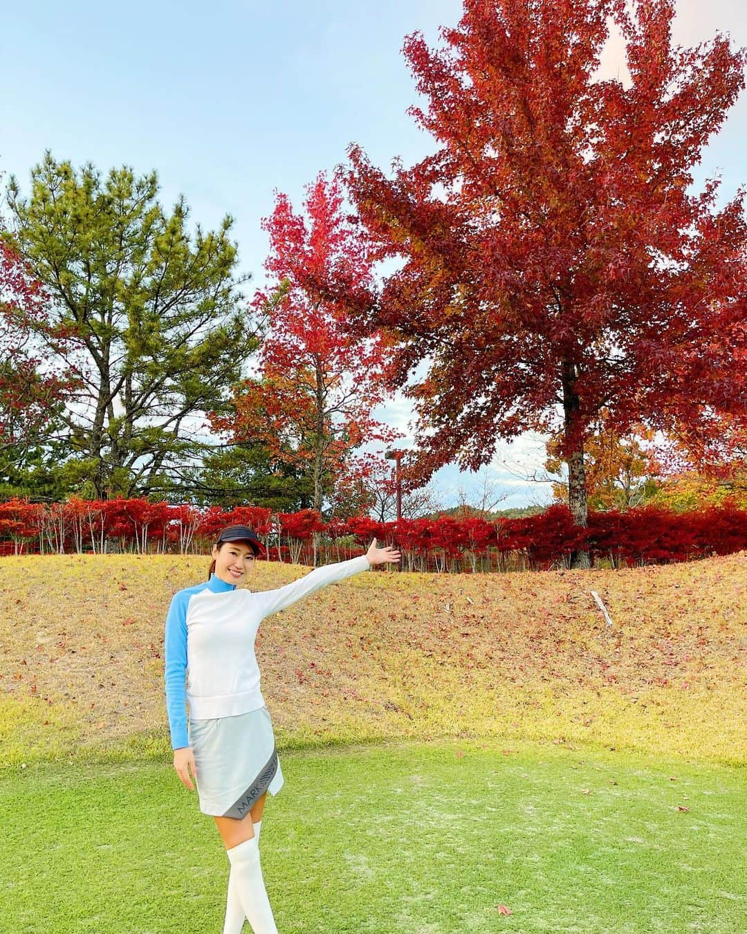 山下詩乃さんのインスタグラム写真 - (山下詩乃Instagram)「先週エリエール松山行って来たよん⛳️😊 もうすぐ大王製紙エリエールレディスだね🥰ツアー見るの楽しみだなぁ❤ ・ ・ この日は３つの事故が重なってしまい、通行止めに。広島から愛媛に行けない😣とハプニング😣 すごく楽しみにしていたけど、ラウンド出来ない事を覚悟して🥲 渡船で行こう😣と車のままフェリーに乗って島に渡り、やっと着いたのが4時間30分後🥲 同伴の大好きなご夫婦をお待たせしてしまい、スルーでラウンドさせてもらったよ😭🙏 ゴルフ場着いたら紅葉していて、それはそれは本当に綺麗で🍁😭🌰💛 間違いなく忘れる事のないゴルフ旅行だった😊 とにかくエリエール松山、めちゃくちゃ綺麗だった❤️🫶🏻😍  #愛媛旅行 #エリエール松山 #エリエールレディスオープン #愛媛ゴルフ #道後温泉#ゴルフ旅行 #ゴルフ好きな人と繋がりたい　#ゴルフ女子 #ゴルフ男子」11月12日 22時10分 - shinoyamashita